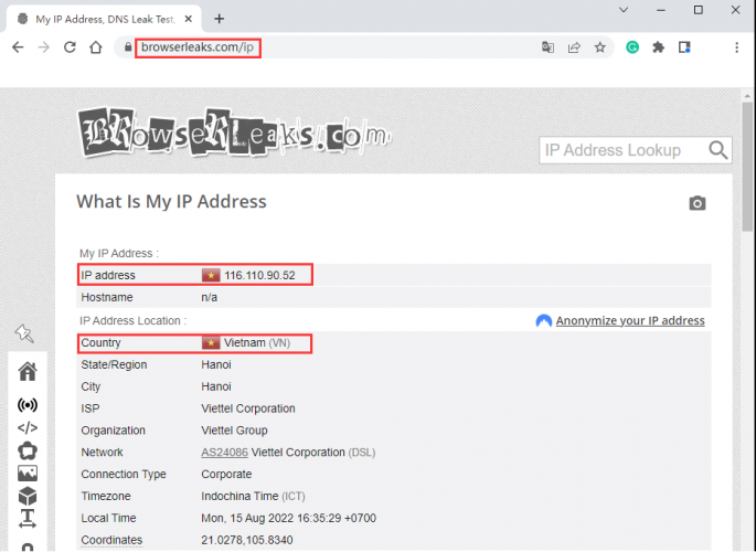 Check Proxy IP address