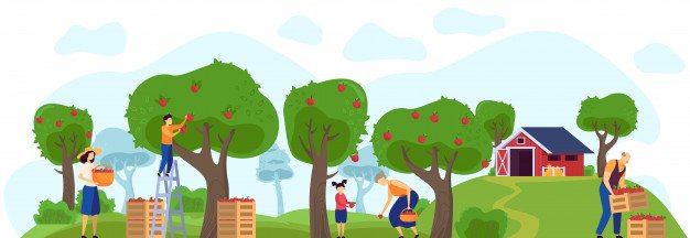 family-working-apple-orchard-together-fa