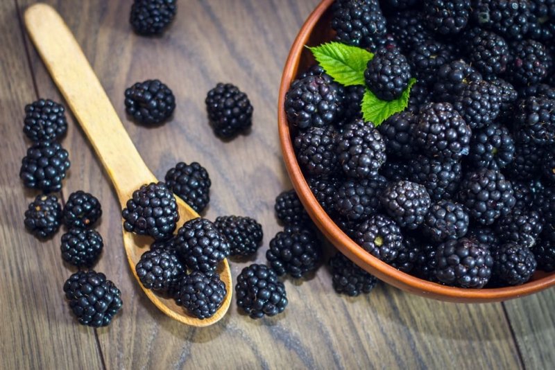blackberry-fruit.jpg